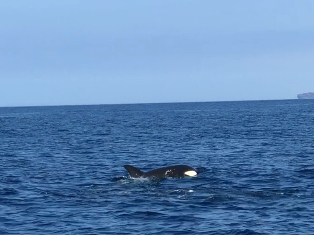 Top Tarifa-塔里法必去景点