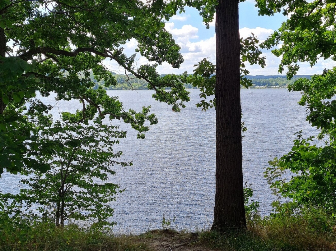 Gasthaus Schulte主图