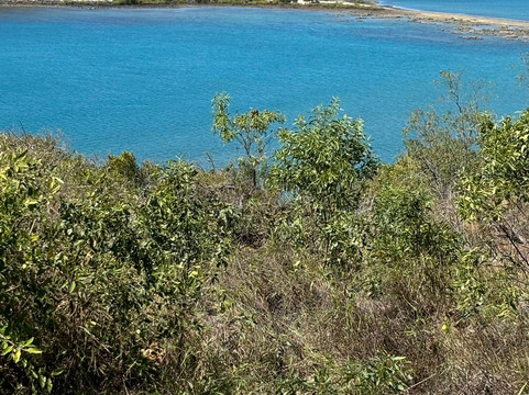 Flagstaff Hill Lookout-博恩必去景点