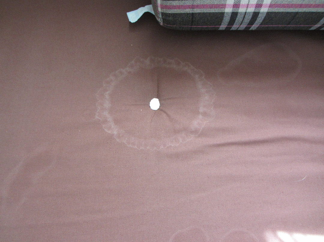 Premier Inn Salisbury South Milford hotel主图