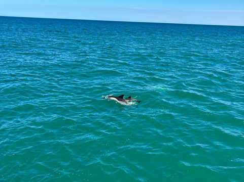 Funfish Trips-布里克瑟姆必去景点