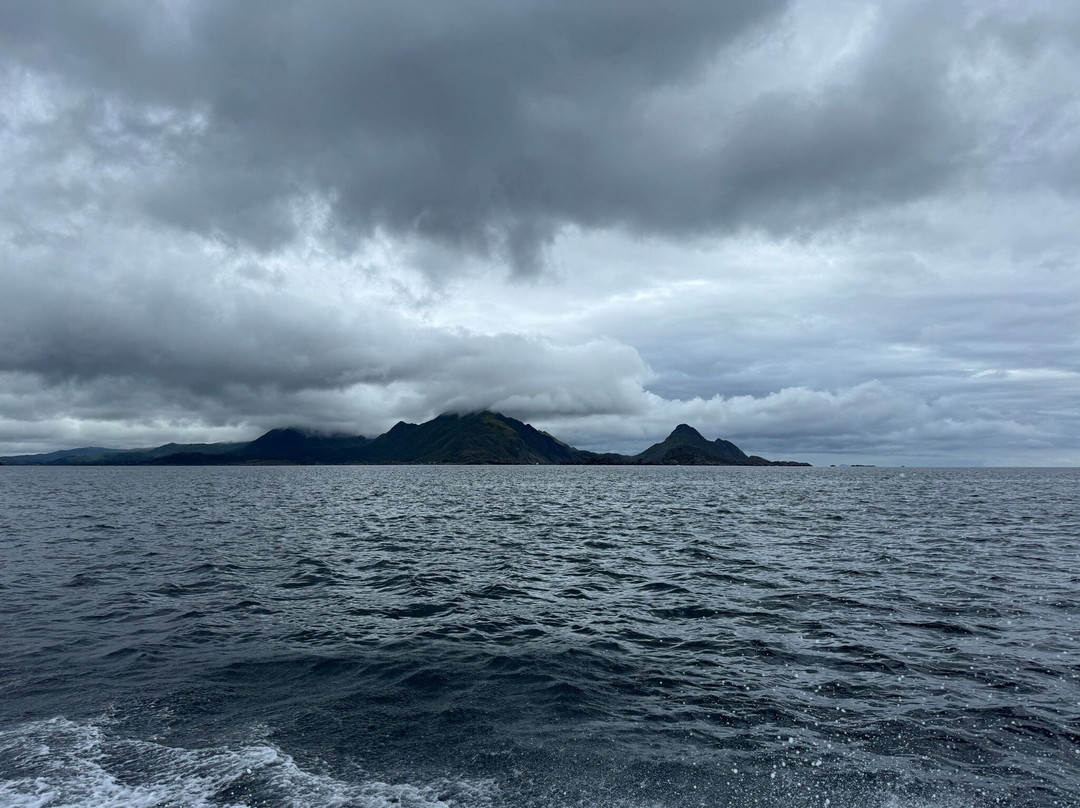 Arctic Spearfishing & guided fishing景点图片
