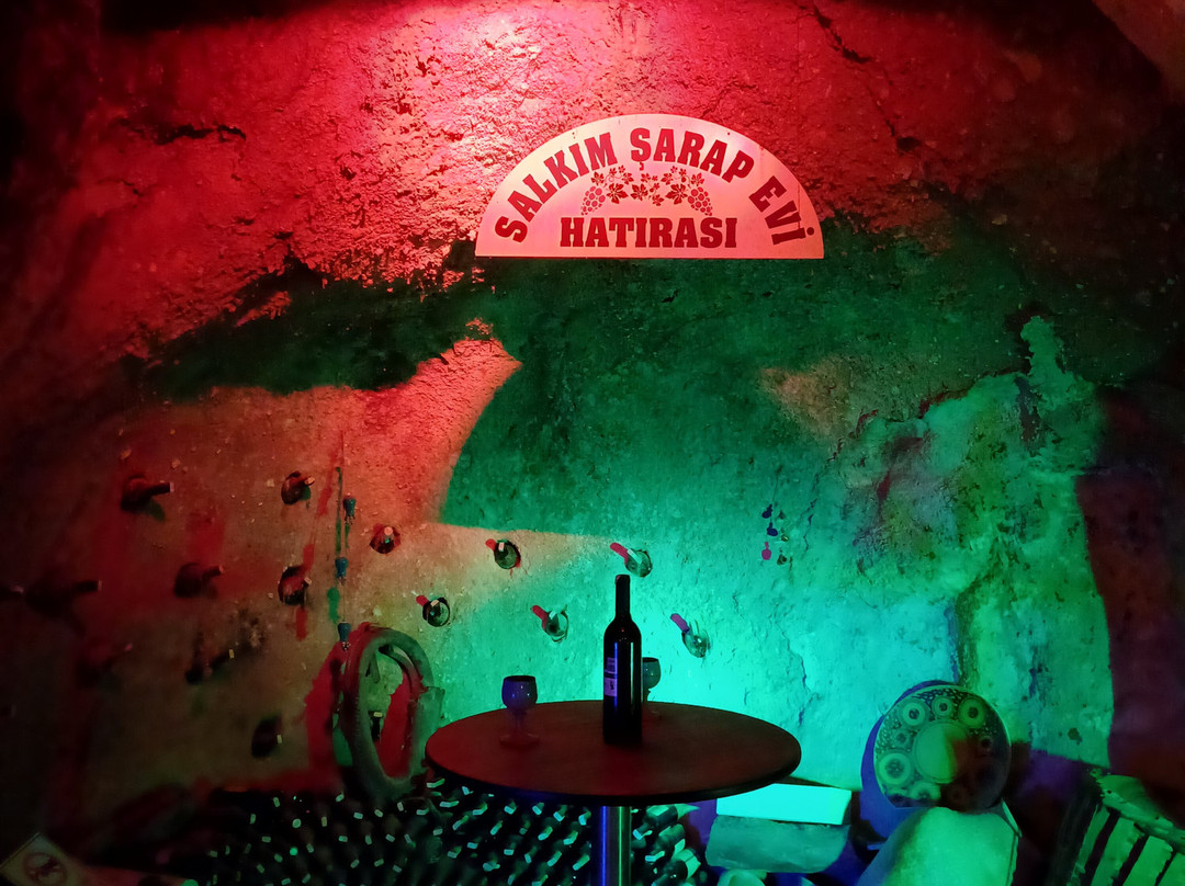 Salkim Sarap Evi (Wine tasting Tour)-阿瓦诺斯必去景点