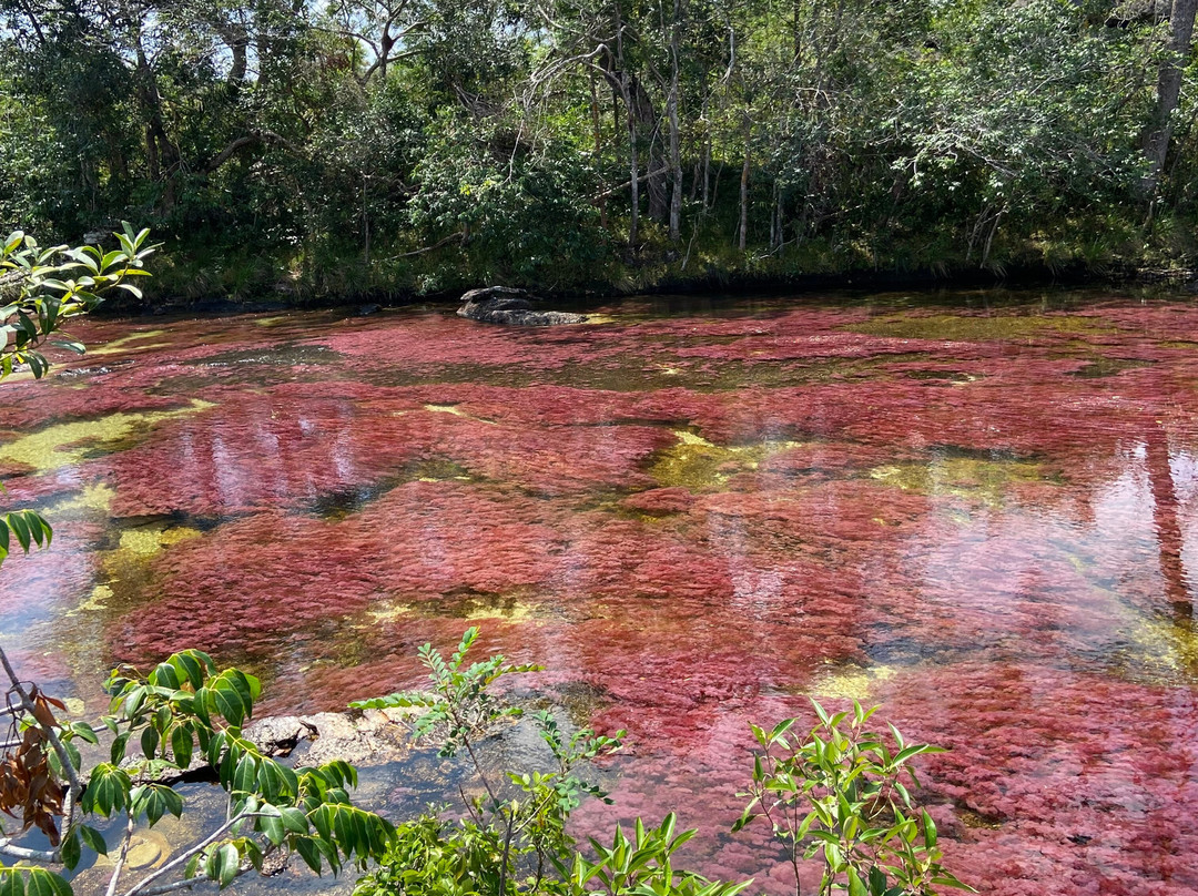 Gaia Tours-La Macarena必去景点