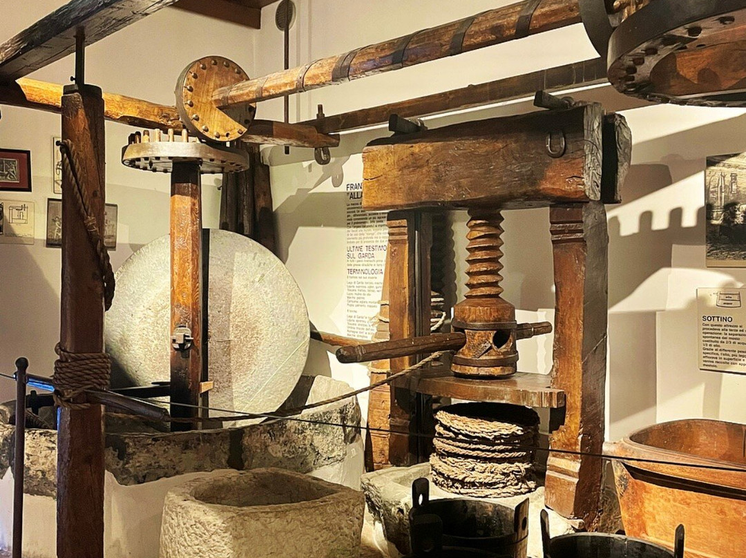 Museo Dell'olio D'oliva景点图片