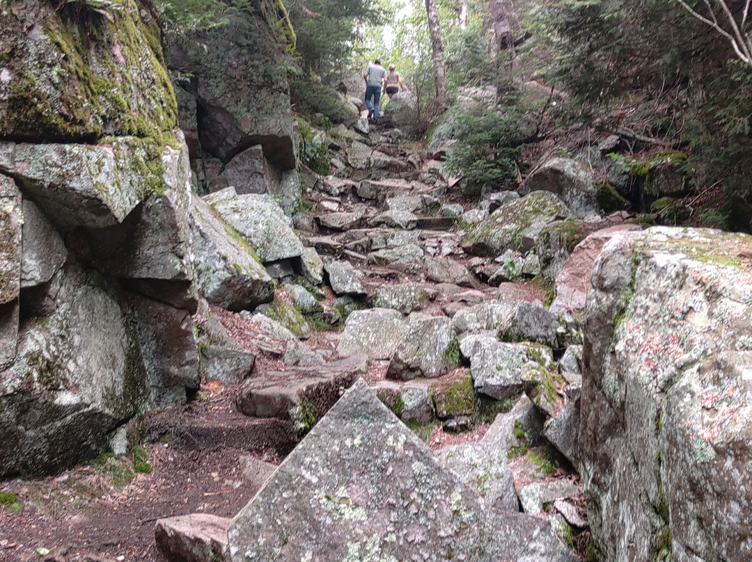Agawa Rock Pictographs-Wawa必去景点
