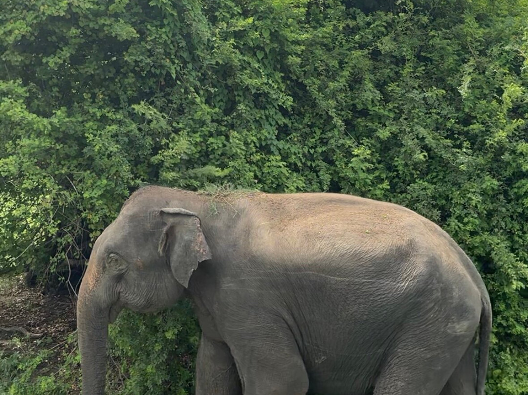 Smart Taxi & Tours Pasikudah-卡尔库达必去景点