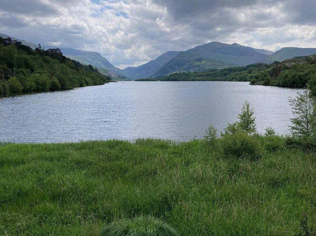 Plas Coch Guest House主图