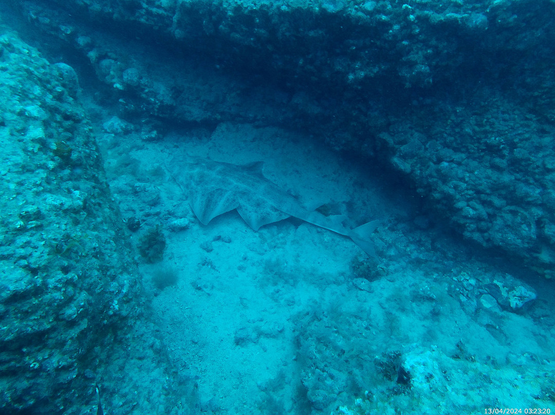 Buceo La Graciosa景点图片