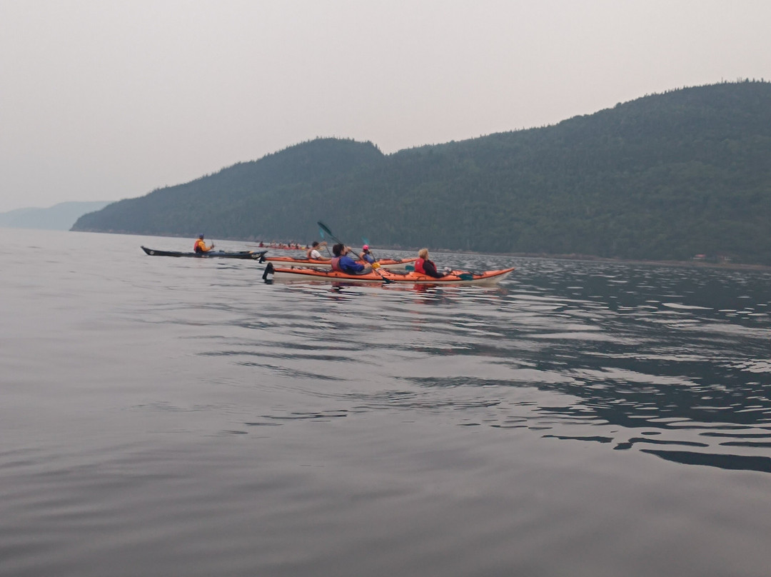 Fjord en kayak景点图片
