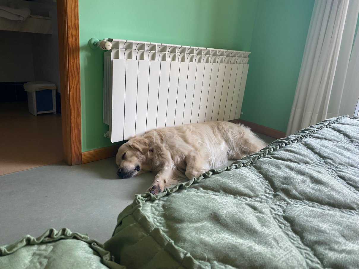 美都里欧酒店-官方