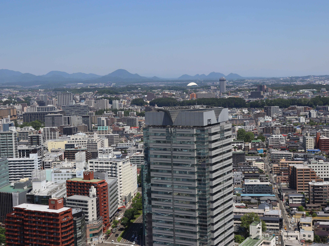 AER Lookout Terrace-仙台市必去景点