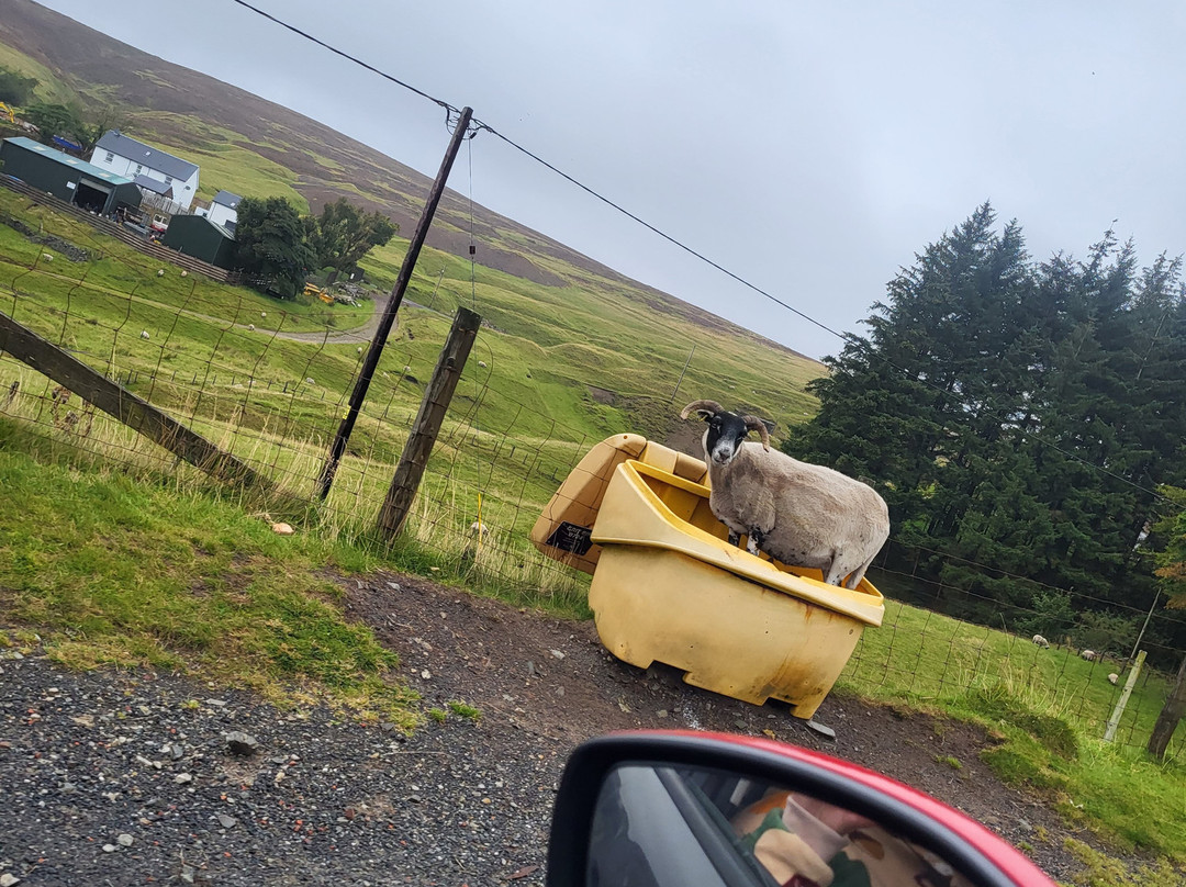Wanlockhead Inn景点图片