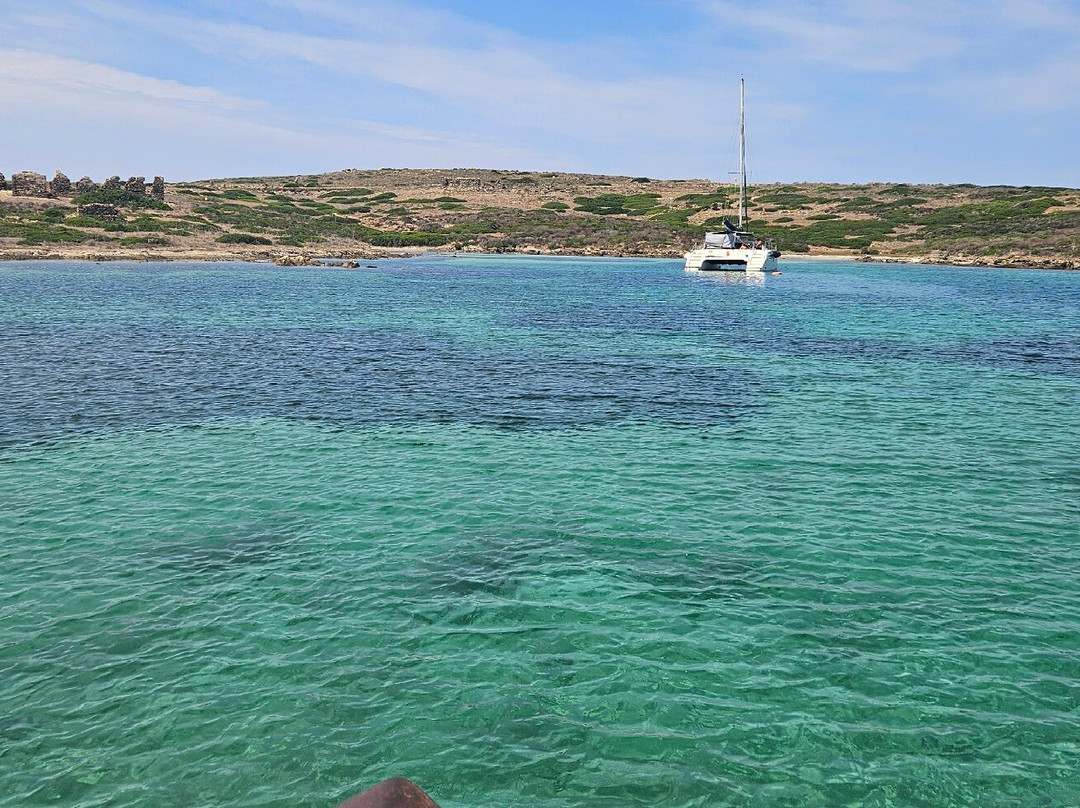 Pesca Turismo Asinara Orsa Maggiore-斯廷蒂诺必去景点