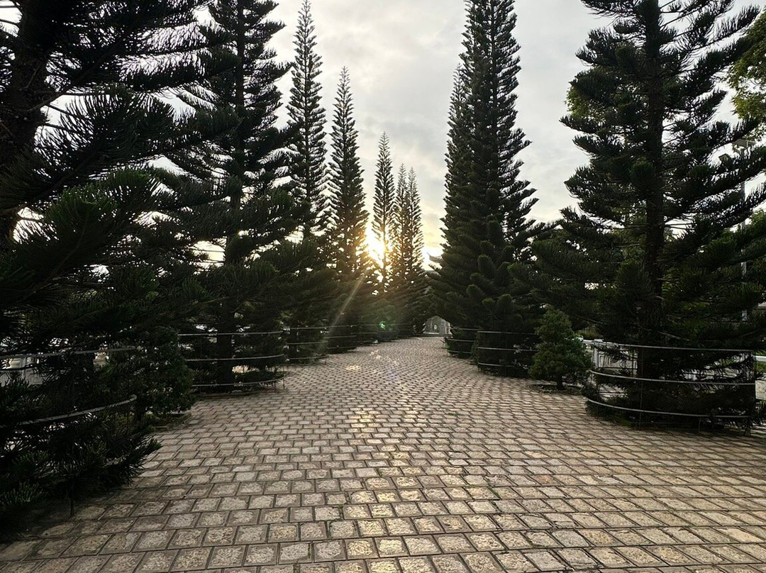 Chùa Vạn Linh-Tinh Bien必去景点