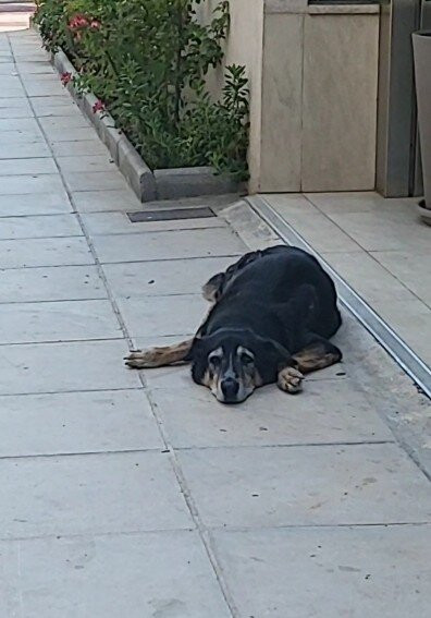 艾默瑞莉雅酒店主图