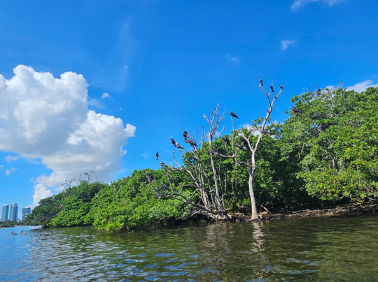 So Flo Water Adventures-North Miami必去景点