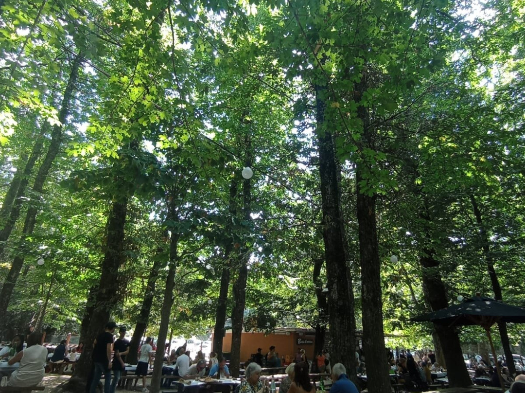 Parco Avventura Etna景点图片
