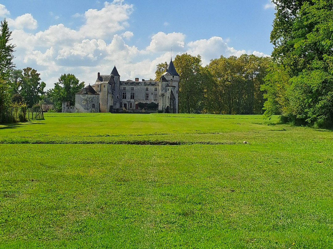 Château de La Brède - Montesquieu景点图片