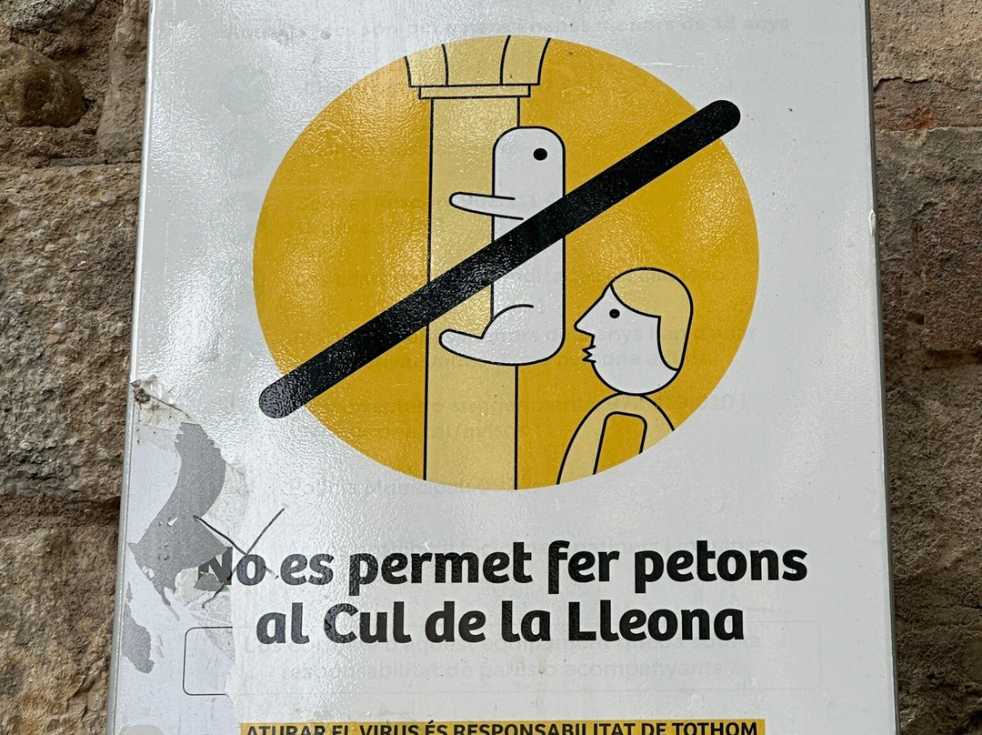 El Cul de la lleona景点图片