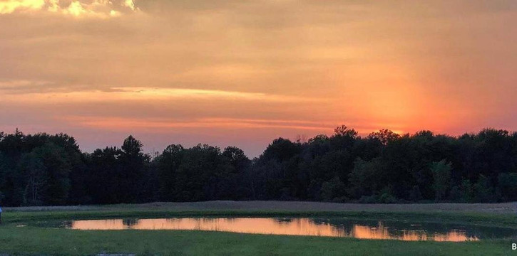 Purple Skies Homestead主图