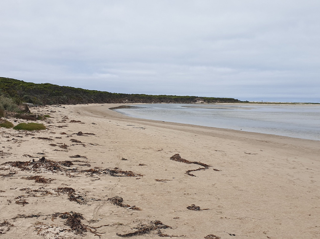 Estuary Beach景点图片