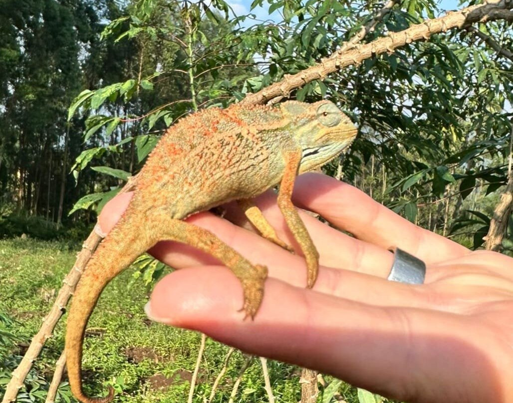 Rwizi Africa Expeditions-坎帕拉必去景点