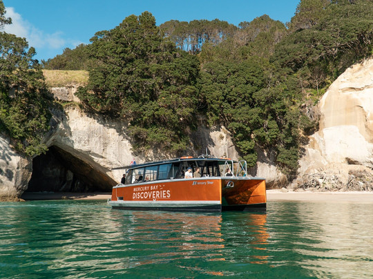 Mercury Bay Discoveries - Cathedral Cove & Coastal Tour-菲蒂昂格必去景点
