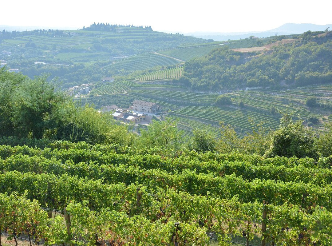 Società Agricola Eleva景点图片