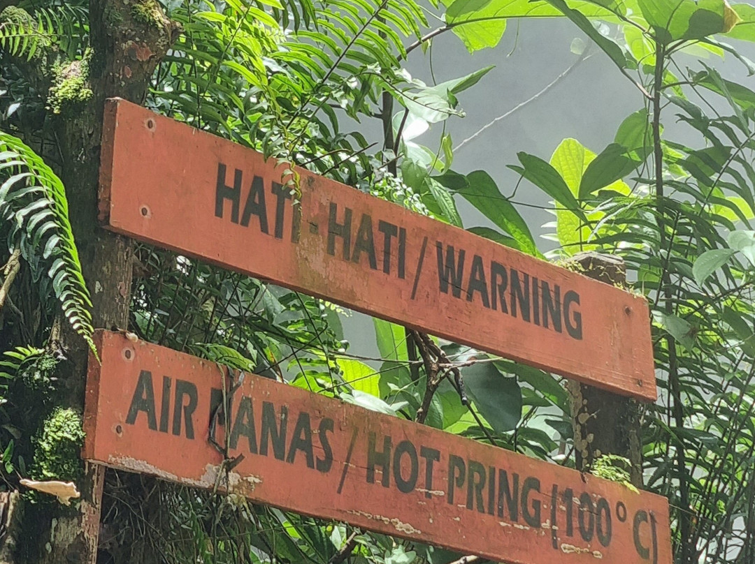 Ketambe Suherman Jungle-Ketambe必去景点