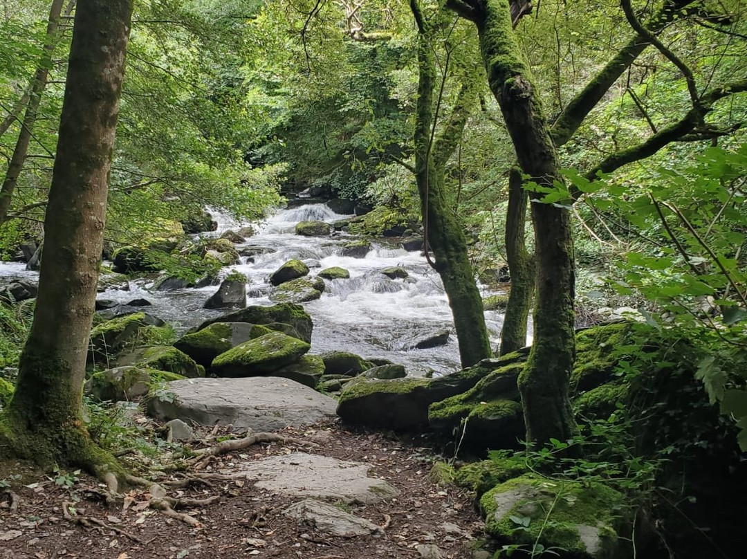 Watersmeet Trail景点图片