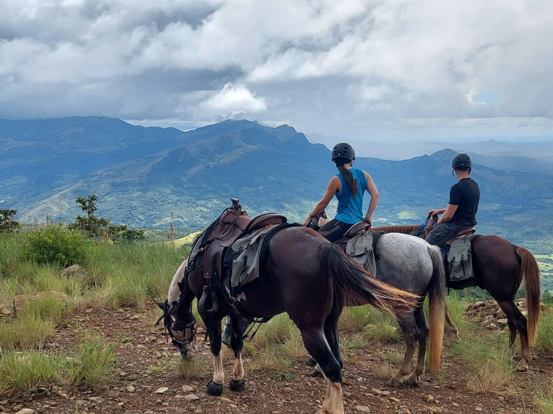 Horseback Panama Adventure Tours景点图片
