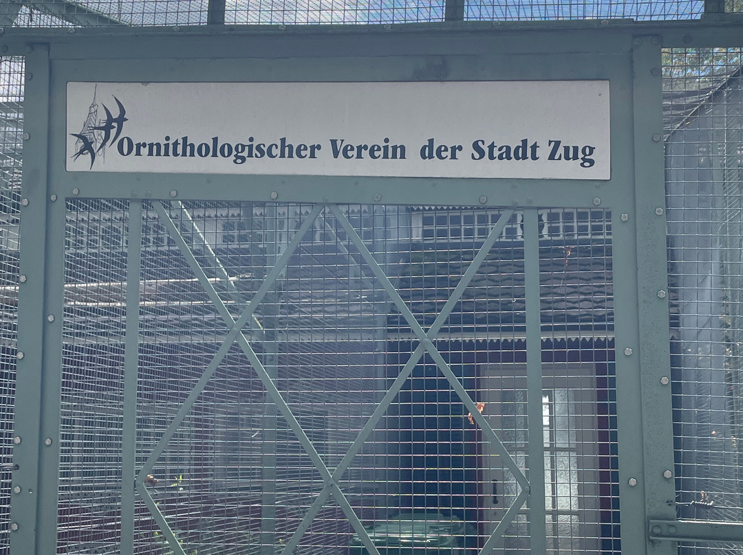 Ornithological Society of the City of Zug-楚格必去景点