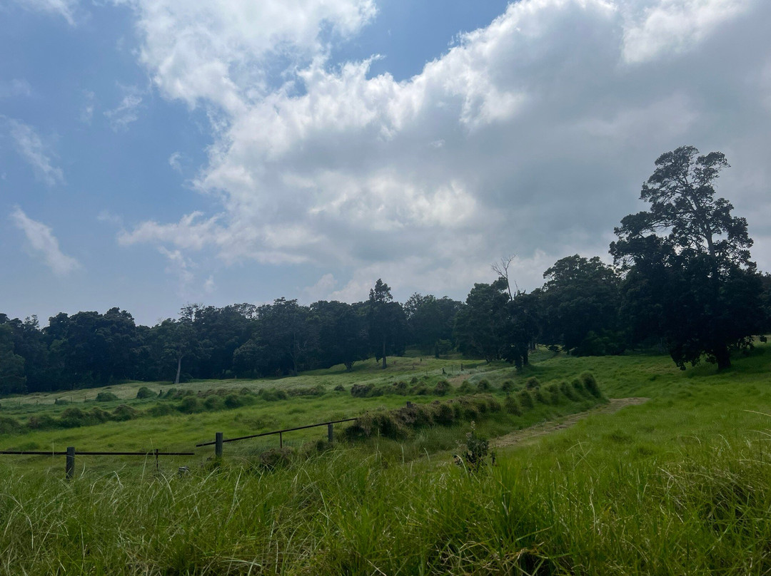 Hawai'i Volcanoes National Park Kahuku Unit-纳勒胡必去景点