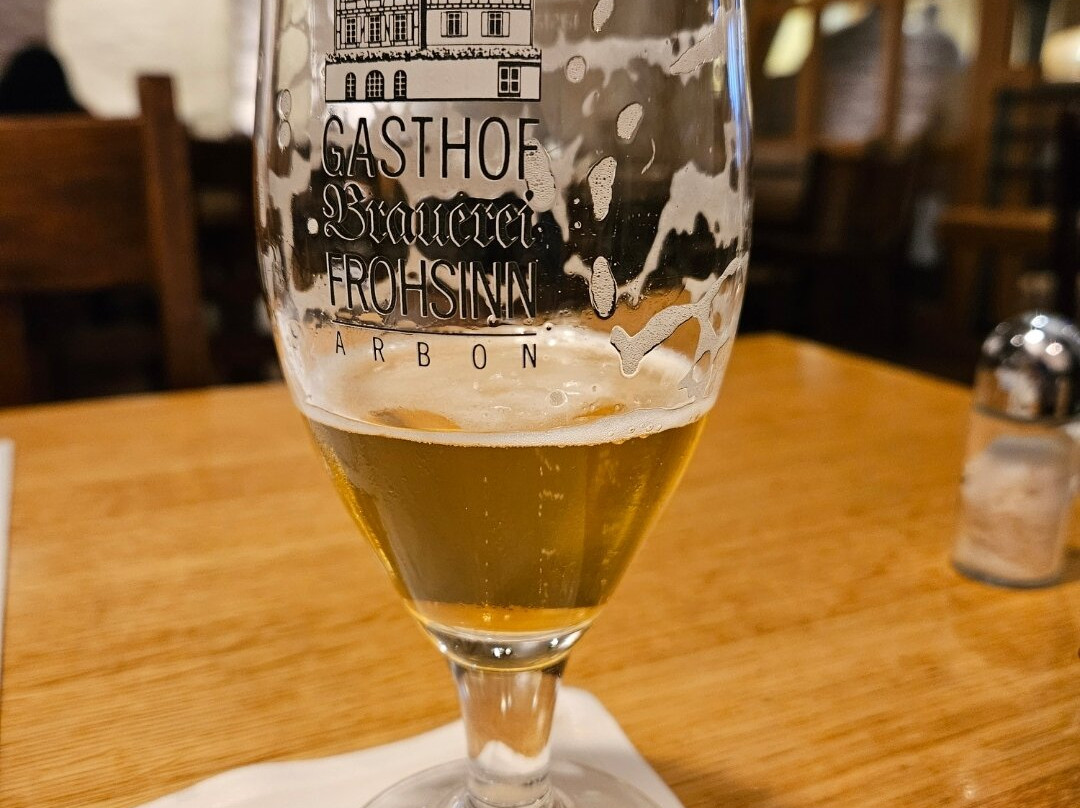 Hotel Brauerei Frohsinn主图