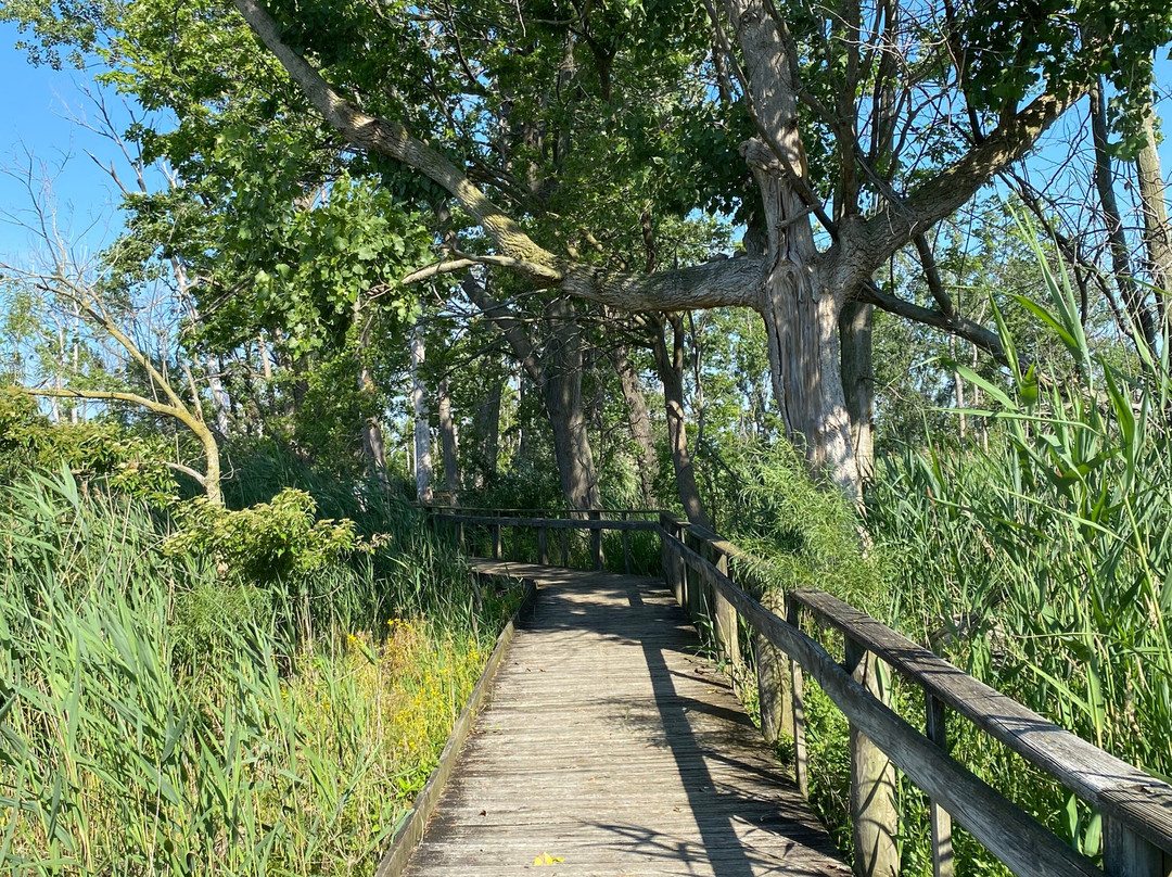 Maumee Bay State Park-Oregon必去景点