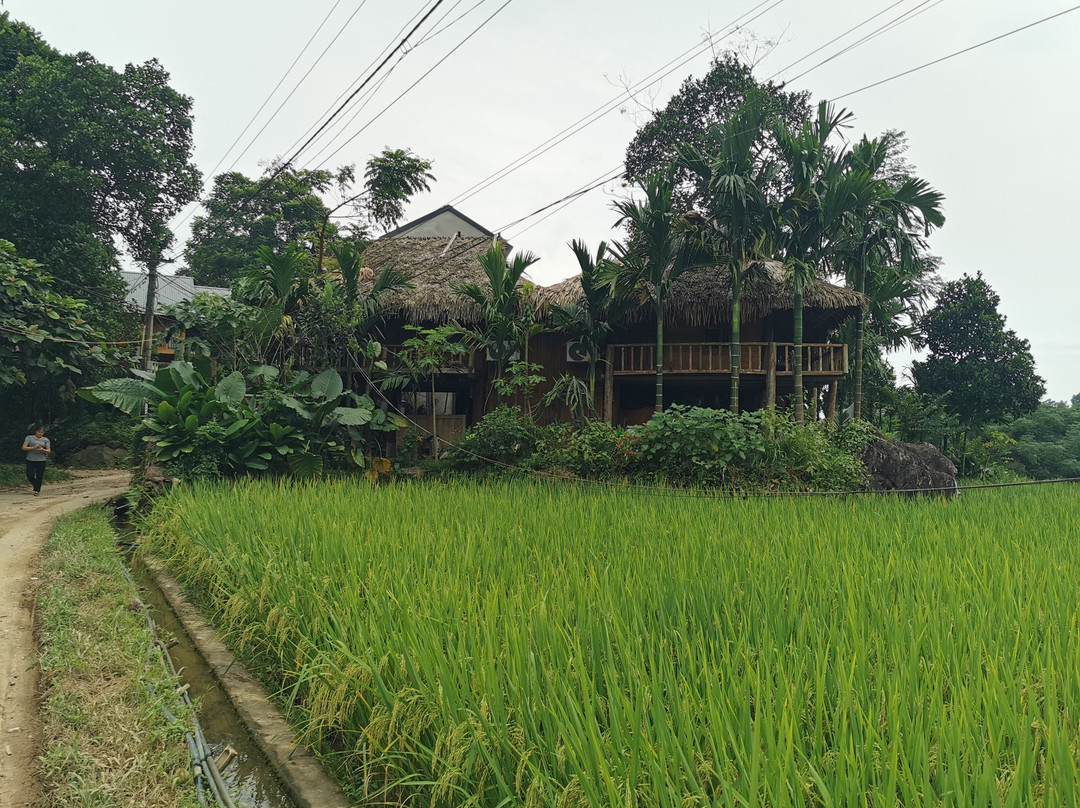 Mai Chau Eco Tours景点图片