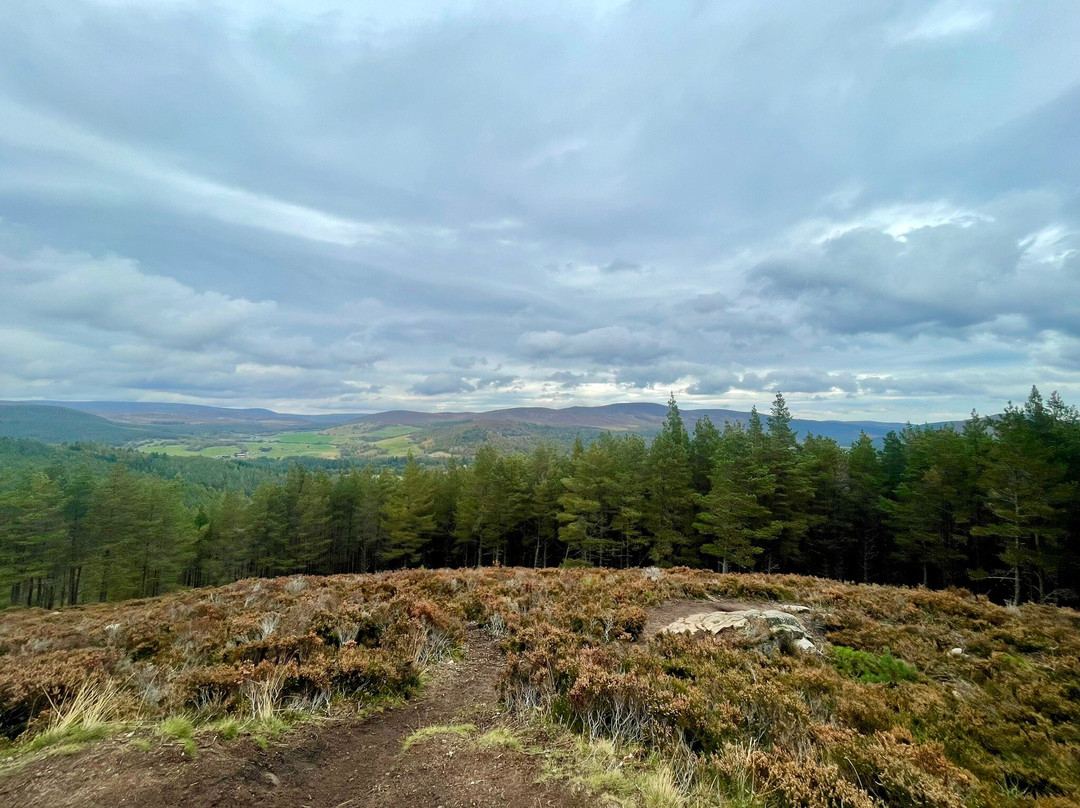 Prince Alberts Cairn