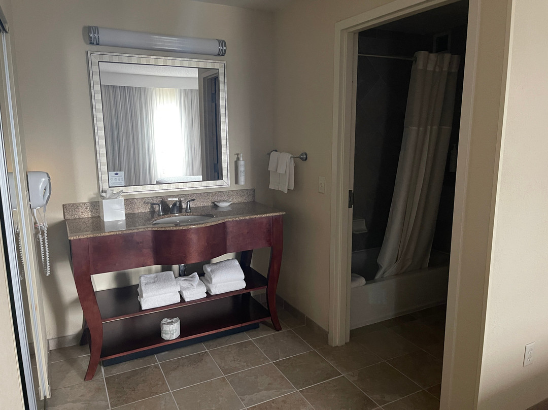 华盛顿杜勒斯国际机场汉普顿套房酒店主图