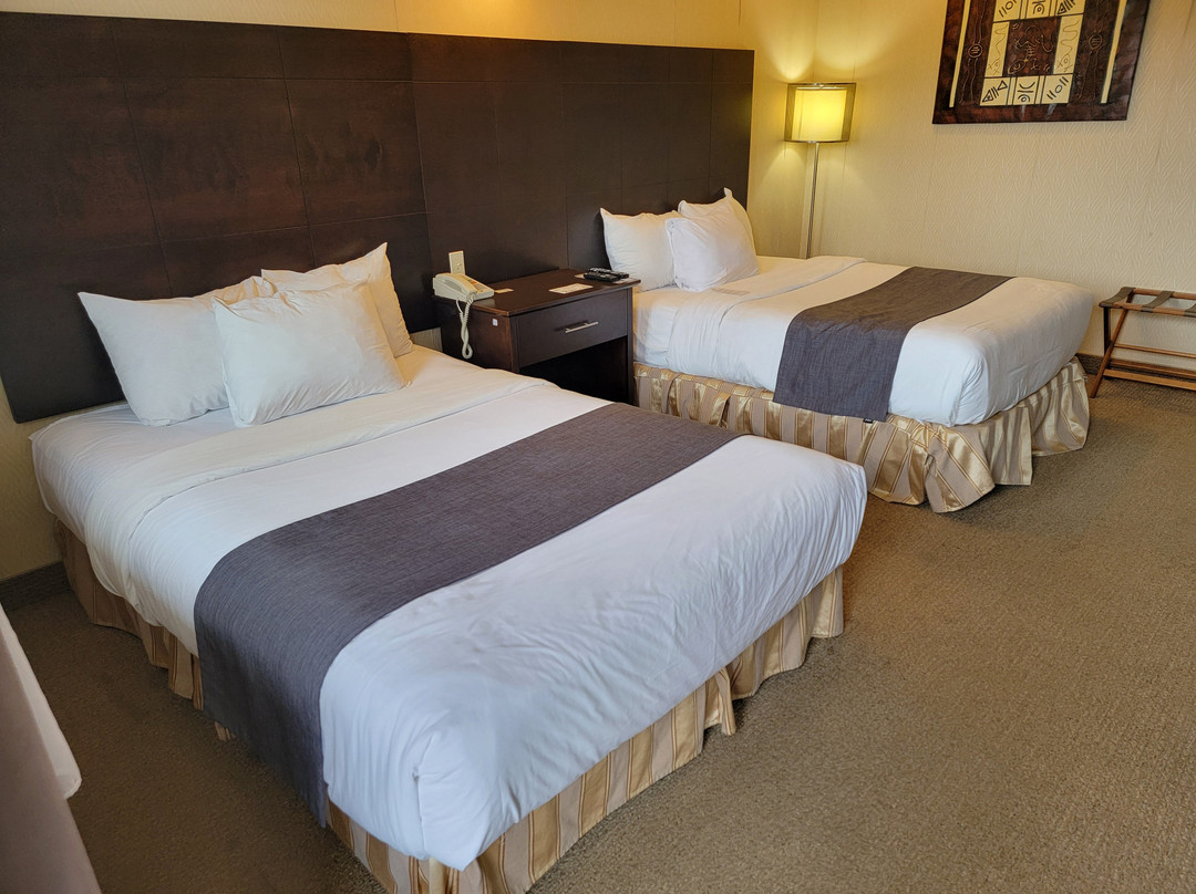 Hotel-Motel Coconut主图