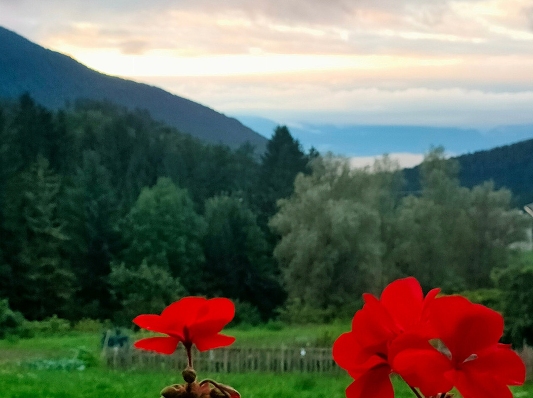 B&B Affittacamere Larix主图