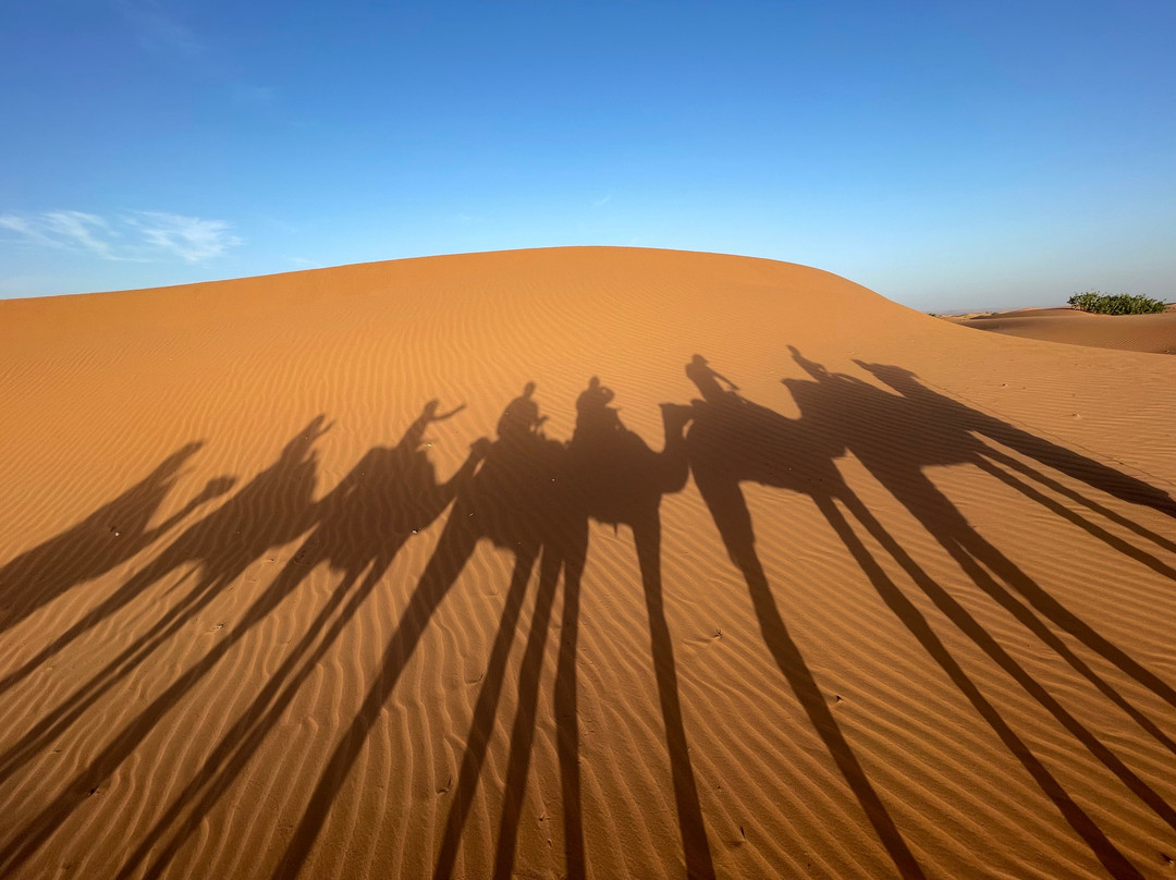 Over Moroccos Desert Tours景点图片