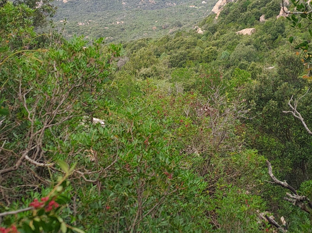 Stazzu Manzoni Hiking Trail-San Pantaleo必去景点