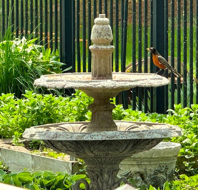 Andor Wenneson Historic Inn主图