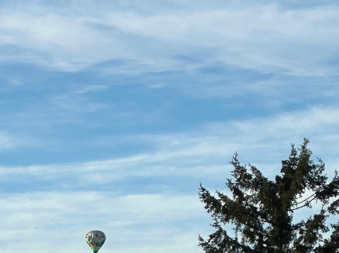 Maris Farms-Buckley必去景点