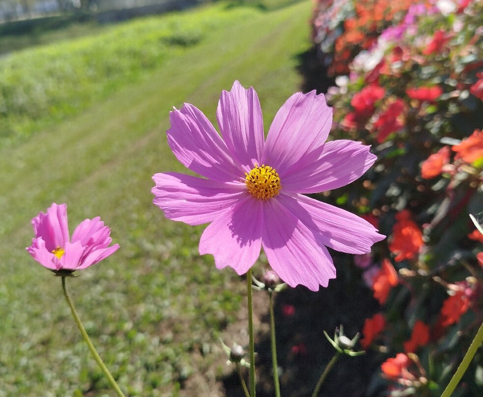 Colonia Witmarsum-Palmeira必去景点