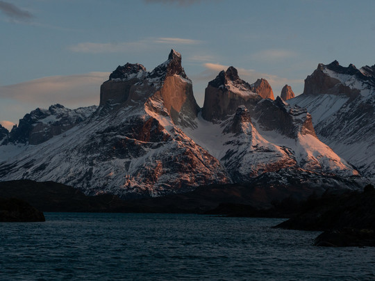 Fauna Silvestrek-纳塔莱斯港必去景点