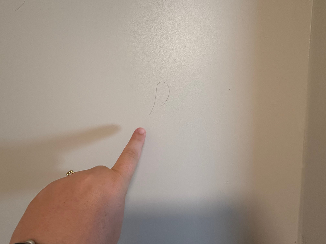 Holiday Inn Express Harrisburg NE by IHG主图