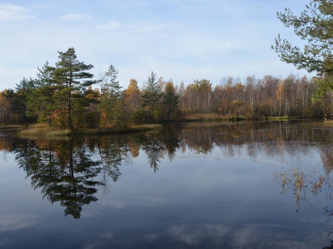 Eco Trail Sestroretskoye Swamp-Beloostrov必去景点