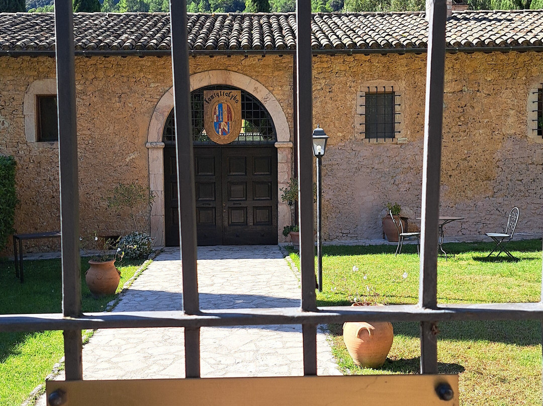 Abbazia di San Pietro in Valle景点图片